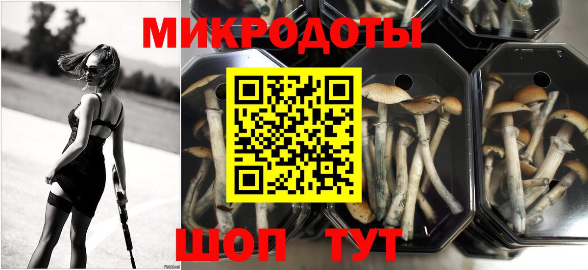 Галлюциногенные грибы MAGIC MUSHROOMS  Вход с VPN  Ухта 