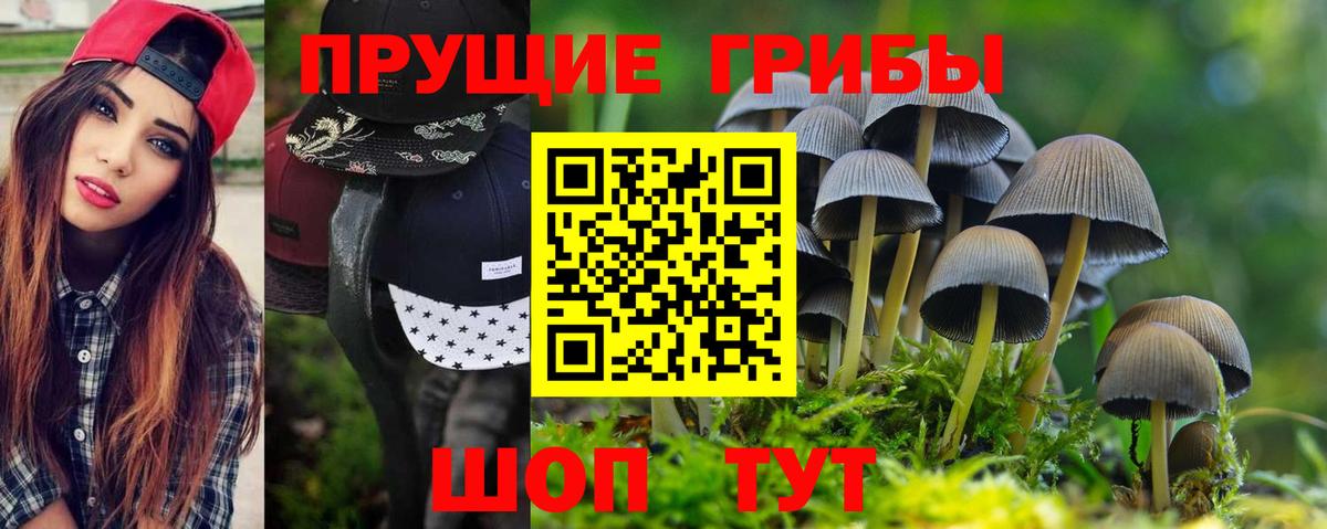 Псилоцибиновые грибы мухоморы Ухта